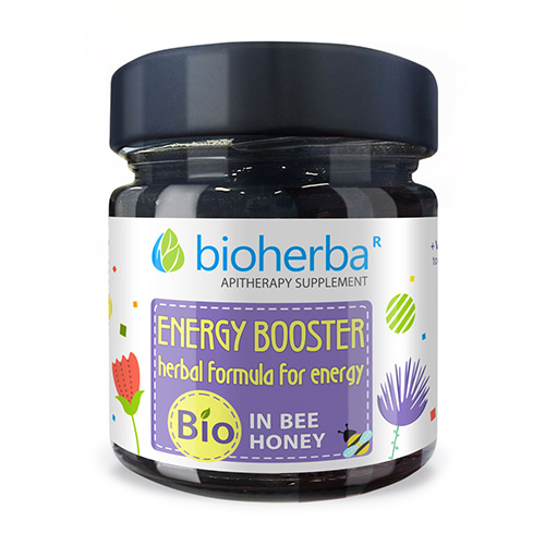 Kompleks BIO z miodemem – Energy Booster