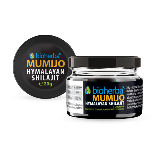 Żywica Shilajit (Mumio)