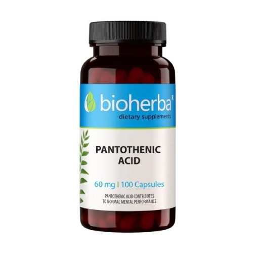Witamina B5 (kwas pantotenowy) 60 mg, 100 kapsułek