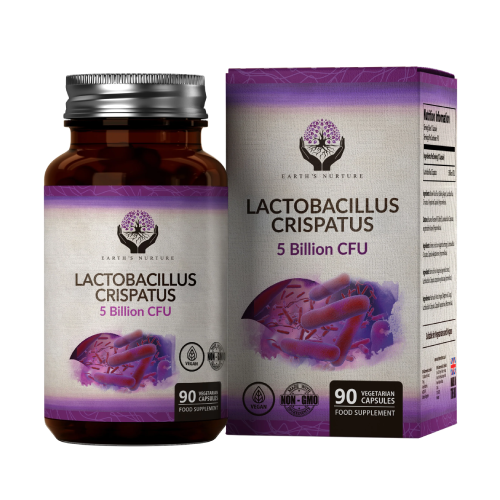 Lactobacillus crispatus - kultura mikrobiologiczna.
