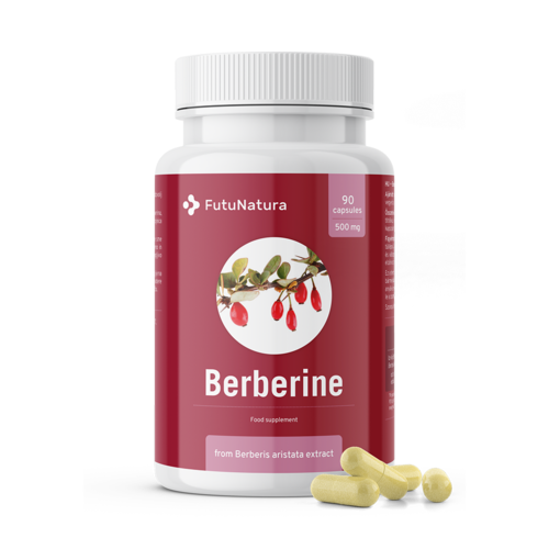 Berberyna 500 mg z wyciągu z Berberis aristata