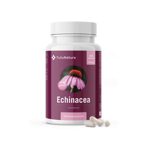 Jeżówka purpurowa - ekstrakt 10:1, 360 kapsułek