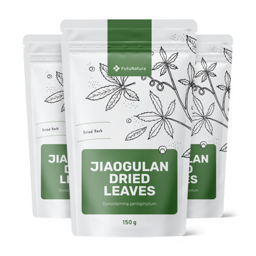 3x Jiaogulan suszone liście, razem 450 g