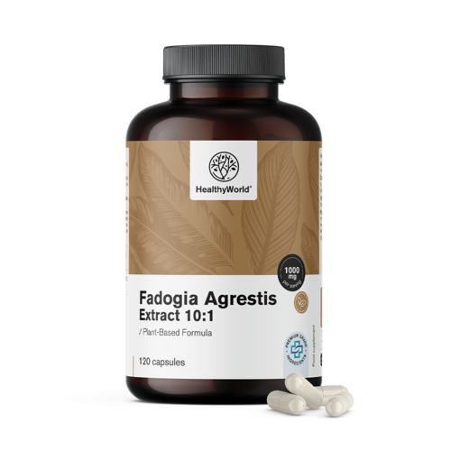 Fadogia Agrestis 1000 mg w kapsułkach
