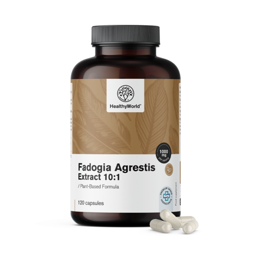 Fadogia Agrestis 1000 mg, 120 kapsułek