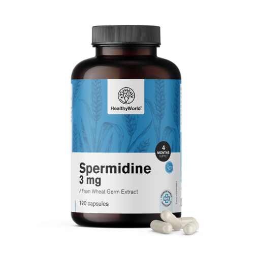 Spermidyna 3 mg - z ekstraktu z kiełków pszenicy