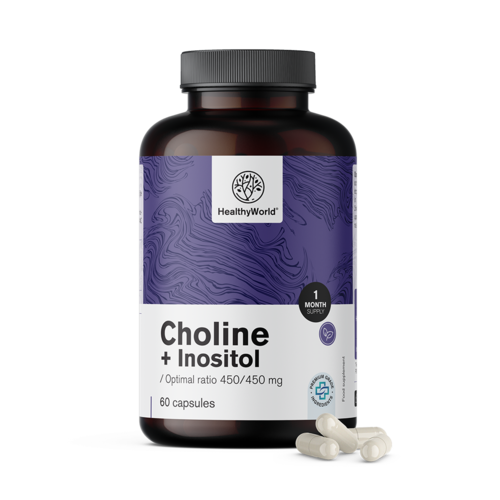 Cholina-inozytol 450/450 mg, 60 kapsułek