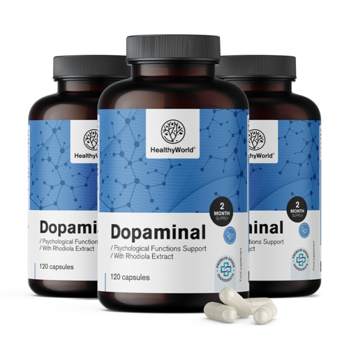 3x Dopaminal – Dopamine Support, razem 360 kapsułek