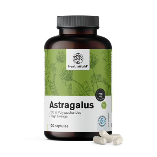 Astragalus – ekstrakt, 120 kapsułek