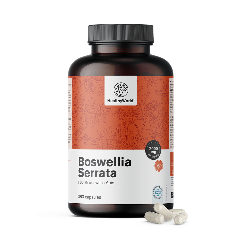 Boswellia (Boswellia Serrata) – 85 % kwasu bosweliowego