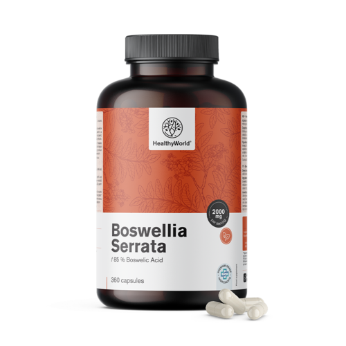 Boswellia (Boswellia Serrata) – 85 % kwasu bosweliowego, 360 kapsułek