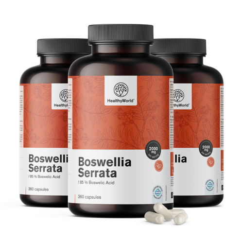 3x Boswellia (Boswellia Serrata) – 85 % kwasu bosweliowego, razem 1080 kapsułek