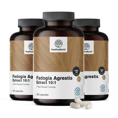 3x Fadogia Agrestis 1000 mg, razem 360 kapsułek