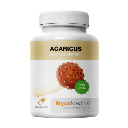 Grzyby Agaricus.