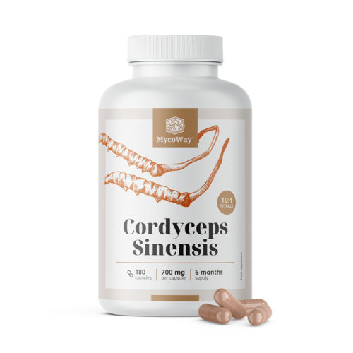 Cordyceps sinensis 1400 mg - wyciąg 10:1, 180 kapsułek