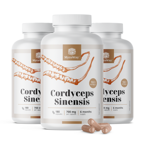 3x Cordyceps sinensis 1400 mg - ekstrakt 10:1, razem 540 kapsułek
