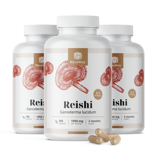3x Reishi 1950 mg – ekstrakt 5:1, razem 540 kapsułek