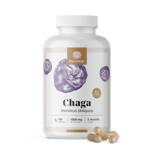 Chaga 1000 mg – wyciąg 5:1, 180 kapsułek