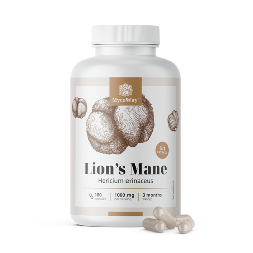 Soplówka jeżowata 1000 mg - wyciąg 5:1, 180 kapsułek