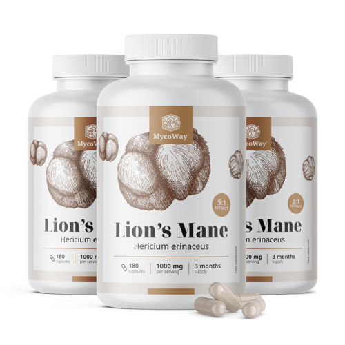 3x Soplówka jeżowata 1000 mg - ekstrakt 5:1, razem 540 kapsułek