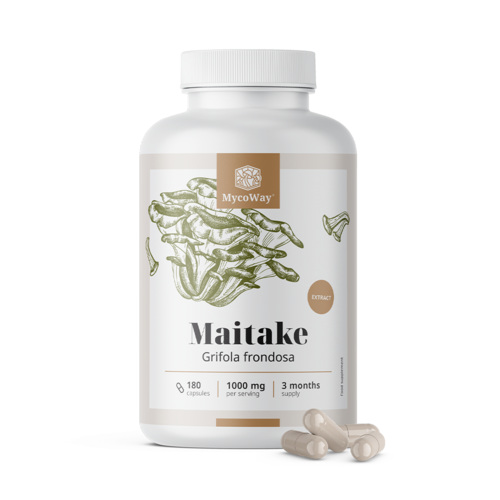 Maitake 1000 mg – wyciąg, 180 kapsułek