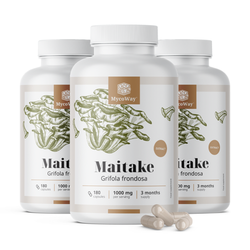 3x Maitake 1000 mg – ekstrakt, razem 540 kapsułek