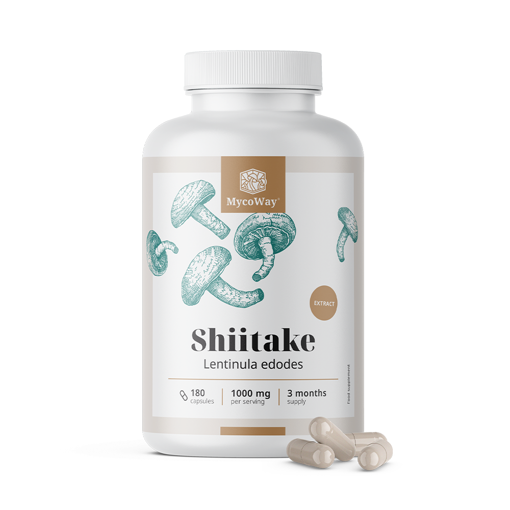 Shiitake 1000 mg – ekstrakt