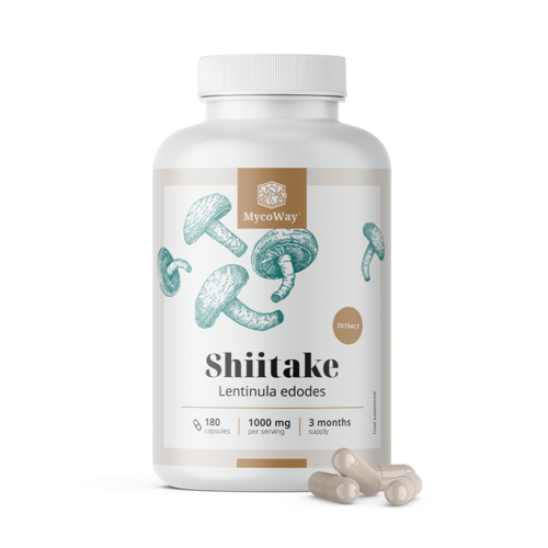 Shiitake 1000 mg – wyciąg, 180 kapsułek
