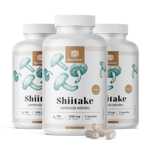 3x Shiitake 1000 mg – ekstrakt, razem 540 kapsułek