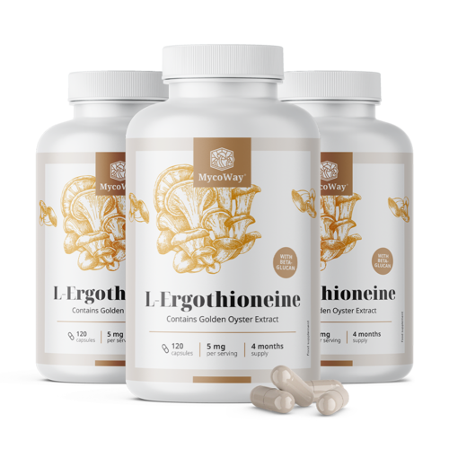 3x L-Ergotioneina 5 mg, razem 360 kapsułek