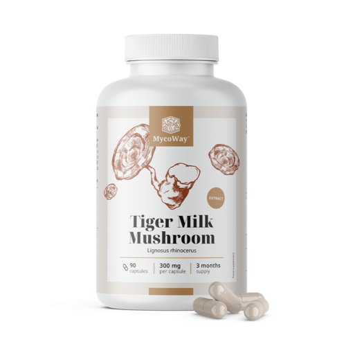 Tiger Milk 300 mg - wyciąg z grzyba Lignosus rhinocerus, 90 kapsułek