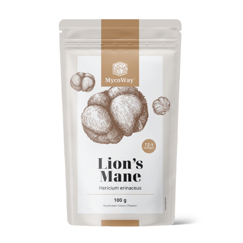 Soplówka jeżowata (lwia grzywa) – wyciąg 12:1, 100 g