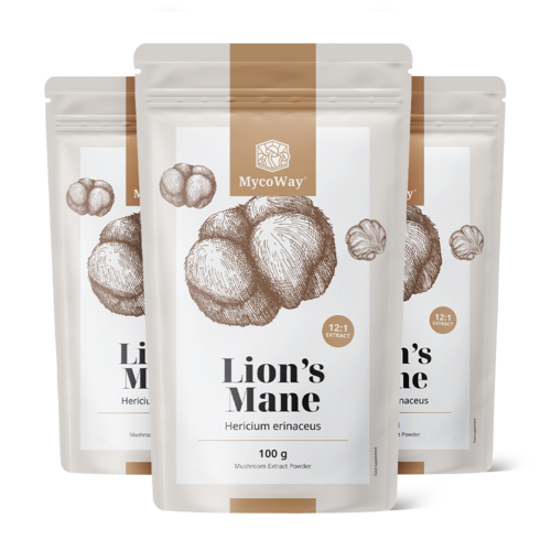 3x Soplówka jeżowata (lwia grzywa) – ekstrakt 12:1, razem 300 g