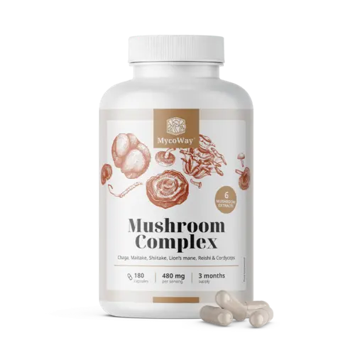 MycoWay® Kompleks grzybów 180 kapsułek