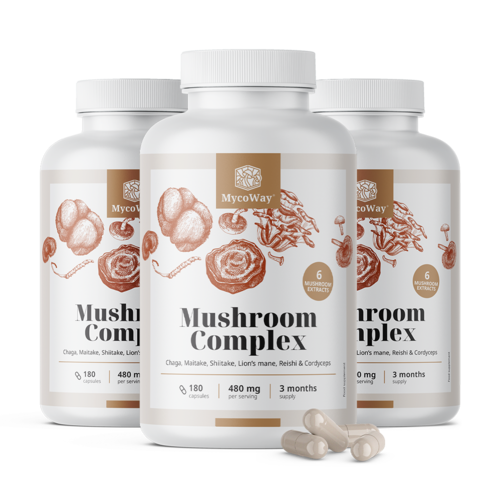 3x Kompleks grzybów, razem 540 kapsułek