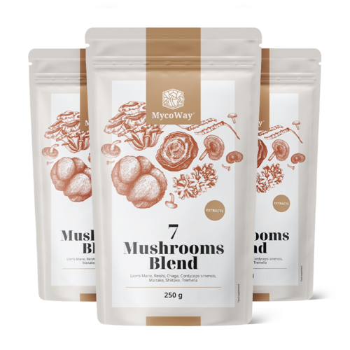 3x Mieszanka wyciągów z siedmiu grzybów w proszku, razem 750 g