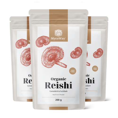 3x BIO Reishi w proszku, razem 600 g