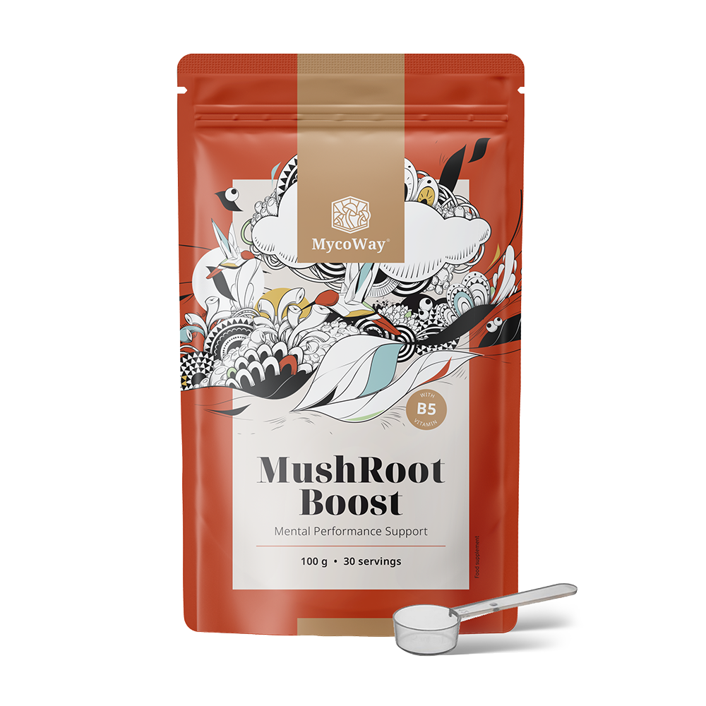 MushRoot Boost - napój poprawiający wydajność umysłową
