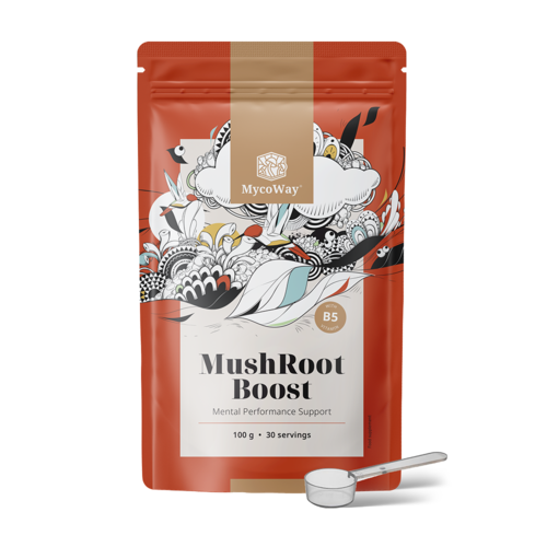 MushRoot Boost - napój poprawiający kondycję umysłową, 100 g