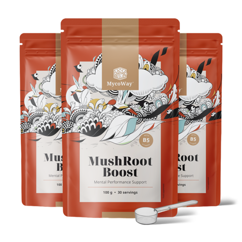 3x MushRoot Boost - napój poprawiający kondycję umysłową, razem 300 g