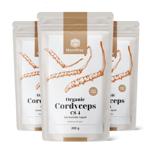 3x BIO Cordyceps CS-4 w proszku, razem 600 g