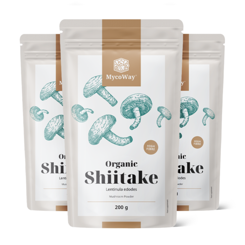 3x BIO Shiitake w proszku, razem 600 g