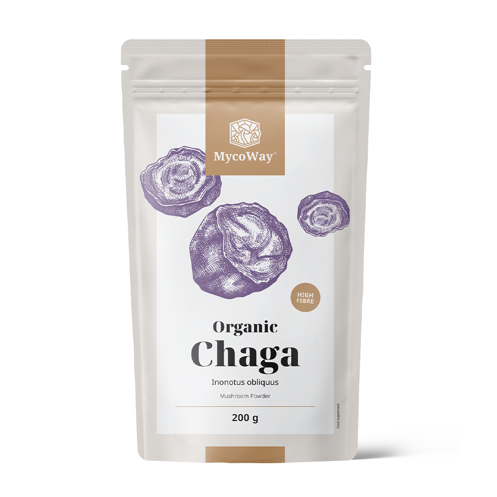 BIO Chaga w proszku