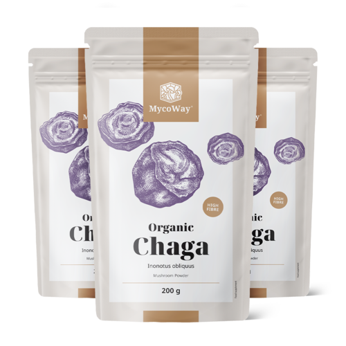 3x BIO Chaga w proszku, razem 600 g