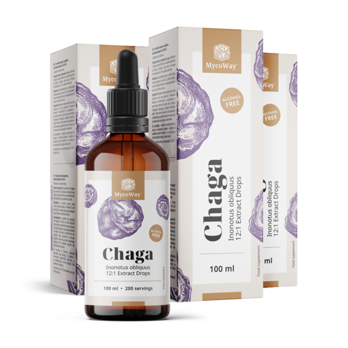 3x Chaga – ekstrakt w kroplach, razem 300 ml