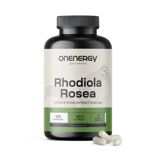 Różeniec górski (Rhodiola) 5000 mg - ekstrakt, 120 kapsułek
