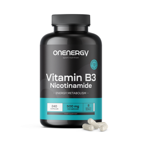 Witamina B3 500 mg - nikotynamid, 240 kapsułek