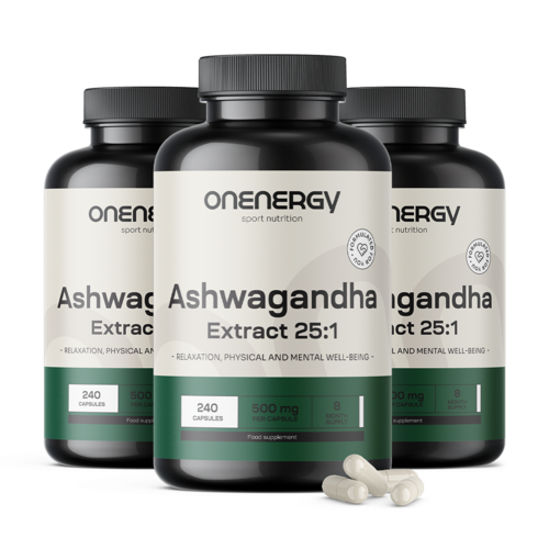 3x Ashwagandha 500 mg – ekstrakt 25:1, razem 720 kapsułek