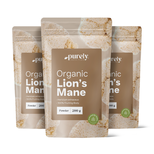 3x BIO Soplówka jeżowata (lwia grzywa) - grzyb w proszku, razem 600 g